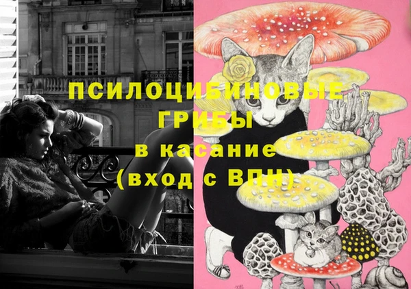 прущие грибы Абдулино